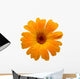 Yellow Wet Gerber Daisy over White Wall Decal