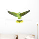 Amazon Yellow Nape - Amazona Auropalliata Wall Decal