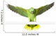 Amazon Yellow Nape - Amazona Auropalliata Wall Decal