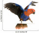 Grand Clectus - Eclectus Roratus Wall Decal