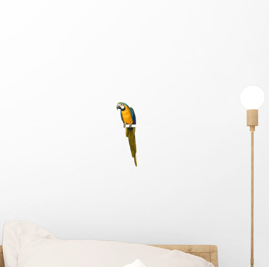 Blue Hyacinth Macaw Wall Decal
