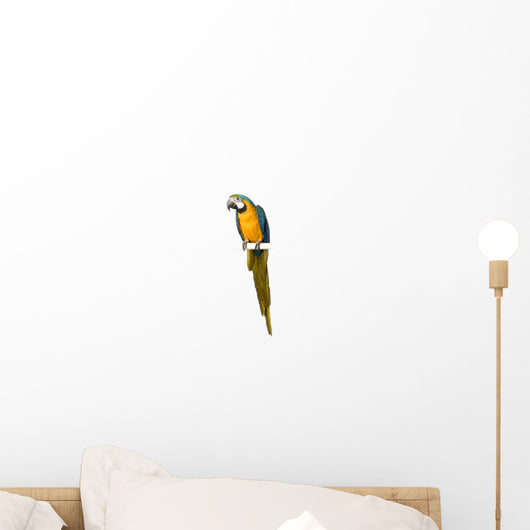 Blue Hyacinth Macaw Wall Decal