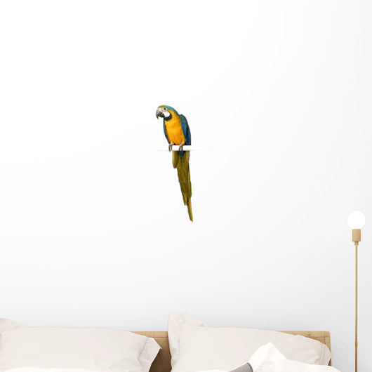 Blue Hyacinth Macaw Wall Decal