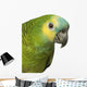 A Blue Front Amazon - Amazona Aestiva Wall Decal