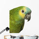 A Blue Front Amazon - Amazona Aestiva Wall Decal