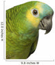 A Blue Front Amazon - Amazona Aestiva Wall Decal