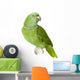 Amazone à Nuque Jaune - Amazona Auropalliata Wall Decal