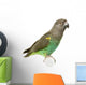 Meyer Parrots Wall Decal