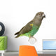 Meyer Parrots Wall Decal