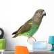 Meyer Parrots Wall Decal