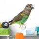 Meyer Parrots Wall Decal