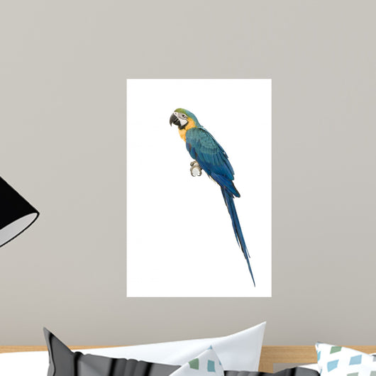 Ara Arauna Wall Decal