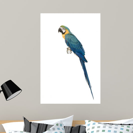 Ara Arauna Wall Decal