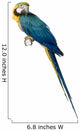 ara arauna Wall Decal