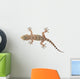 brown spotted gecko reptile isolated on white, view from above Wall Decal