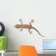 brown spotted gecko reptile isolated on white, view from above Wall Decal