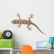 brown spotted gecko reptile isolated on white, view from above Wall Decal