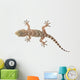 brown spotted gecko reptile isolated on white, view from above Wall Decal