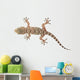 brown spotted gecko reptile isolated on white, view from above Wall Decal