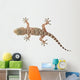 brown spotted gecko reptile isolated on white, view from above Wall Decal