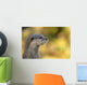 loutre Wall Mural