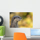 loutre Wall Mural