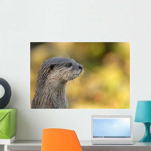 loutre Wall Mural