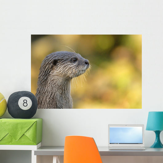 loutre Wall Mural