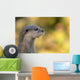 loutre Wall Mural