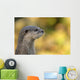 loutre Wall Mural