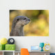 loutre Wall Mural