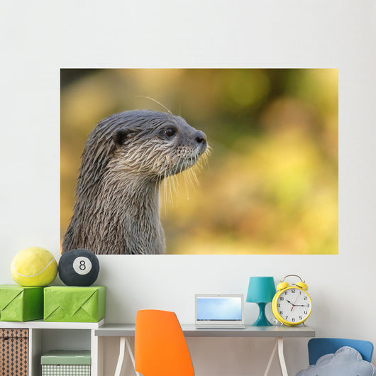 loutre Wall Mural