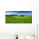 Fresh Flowered Meadow