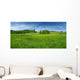 Fresh Flowered Meadow