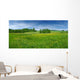 Fresh Flowered Meadow
