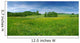 Fresh Flowered Meadow