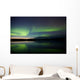Aurora Borealis Over a Lake Wall Mural