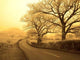 Lakes District Wall Decal