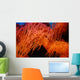 Coral Wall Mural