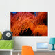 Coral Wall Mural