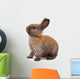 Most Beautyful Bunny Wall Decal