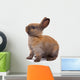 Most Beautyful Bunny Wall Decal