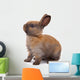 Most Beautyful Bunny Wall Decal