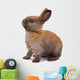 Most Beautyful Bunny Wall Decal