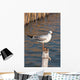 Seagull