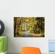 Road through the autumn forest on a sunny morning Wall Mural
