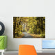 Road through the autumn forest on a sunny morning Wall Mural