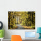 Road through the autumn forest on a sunny morning Wall Mural