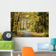 Road through the autumn forest on a sunny morning Wall Mural