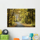 Road through the autumn forest on a sunny morning Wall Mural